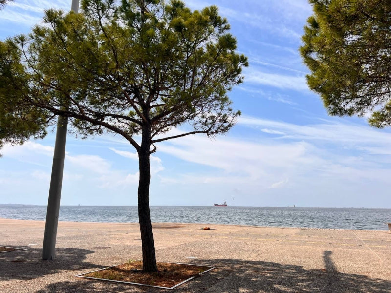 3-Bedroom Apartment in Nea Paralia – Thessaloniki