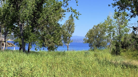 Seafront Development Plot in Vourvourou – Chalkidiki